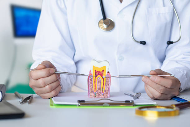 Best Emergency Dental Services for Seniors in Cordova, AL